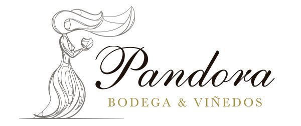 Bodegas Pandora | Un sueño que es vino