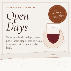Sábado 5 de DICIEMBRE | Visita enoturismo Puente Diciembre | Recorrido por la bodega + Cata de 3 vinos