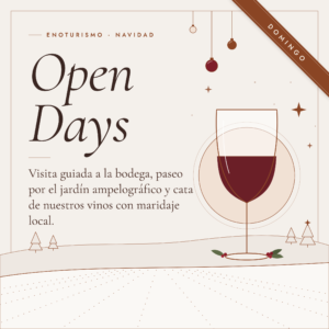 Domingo 20 de DICIEMBRE | Visita enoturismo en Navidad | Recorrido por la bodega + Cata de 3 vinos