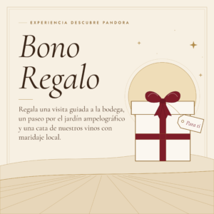 Bono regalo experiencia de enoturismo "Descubre Pandora" | Recorrido por la bodega + Cata de 3 vinos