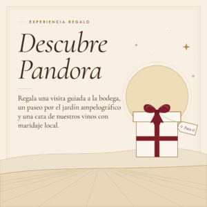 Bono regalo experiencia de enoturismo "Descubre Pandora" | Recorrido por la bodega + Cata de 3 vinos